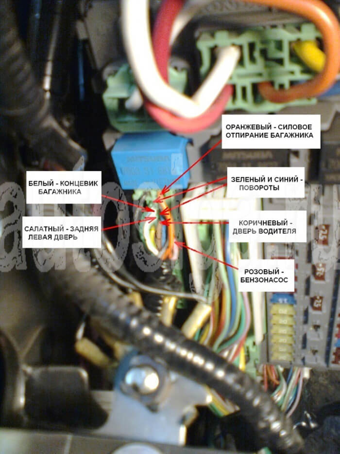Установка сигнализации на Honda Accord 2008-2012 Установка сигнализации на Honda Accord 2008-2012