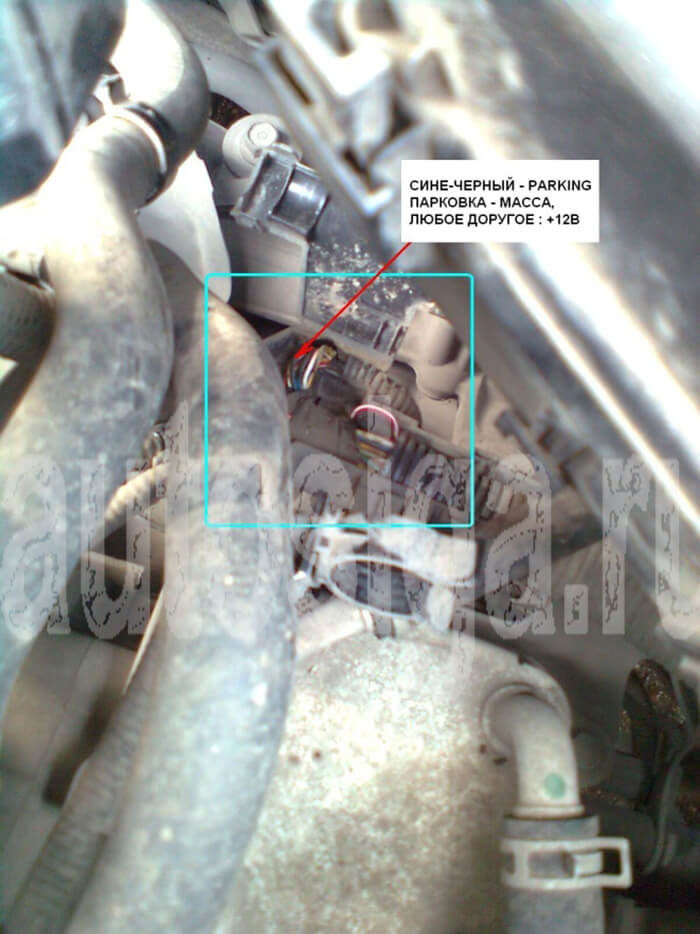 Установка сигнализации на Honda Accord 2008-2012 Установка сигнализации на Honda Accord 2008-2012