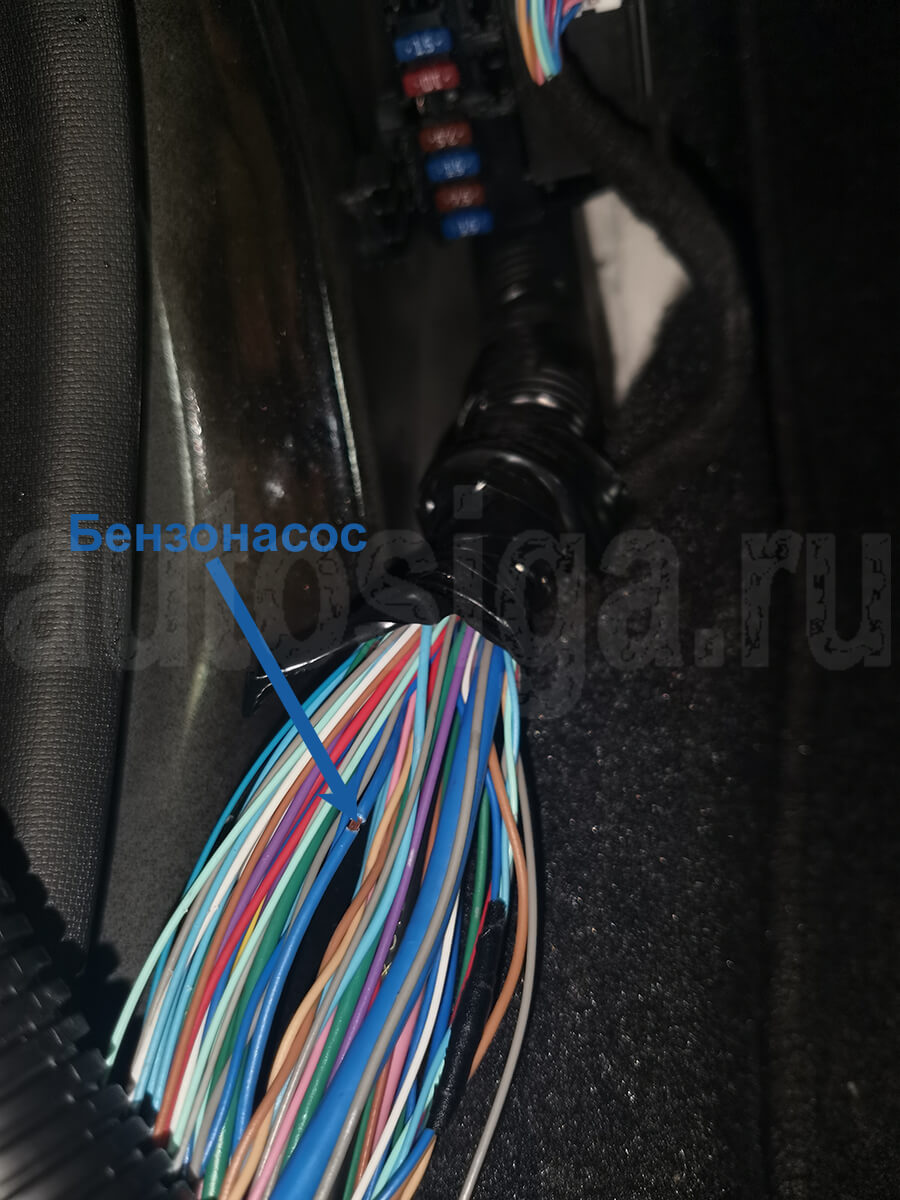 Мазда Аксела – блокировка бензонасоса Mazda Axela – подключение сигнализации: блокировка бензонасоса