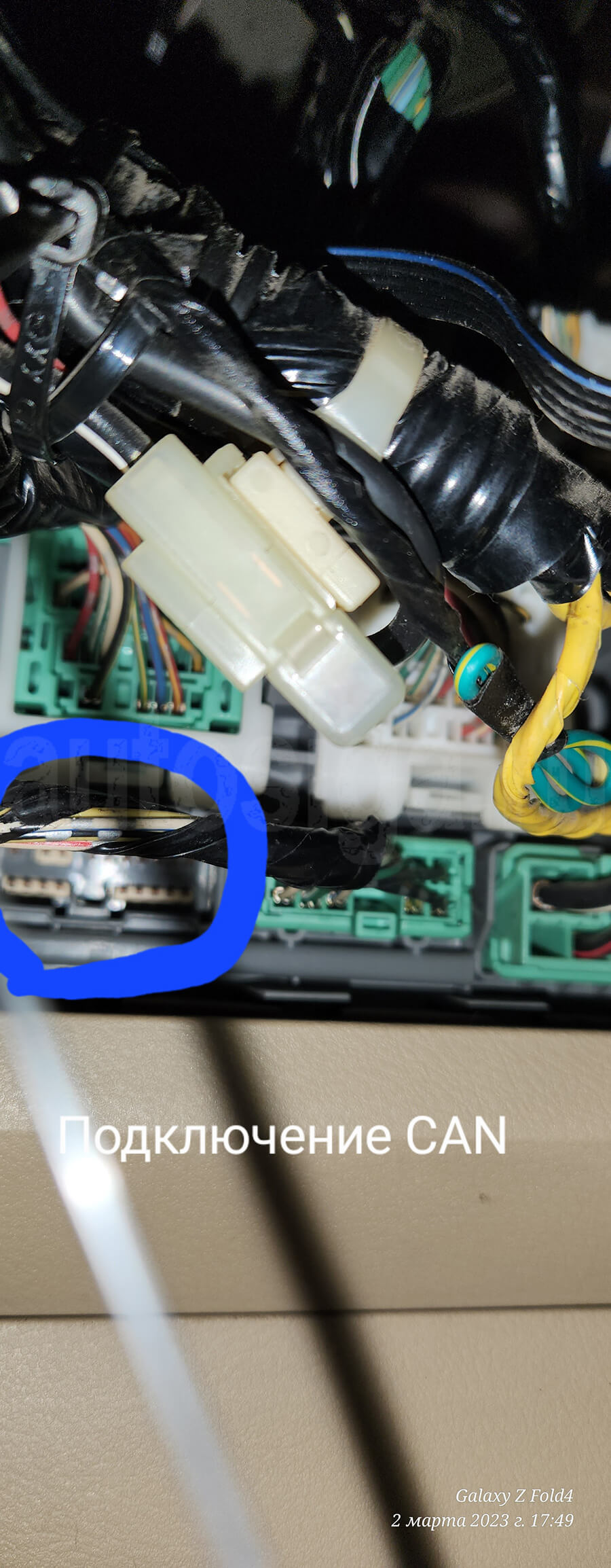 Honda Odyssey 2007: разъём для подключения can