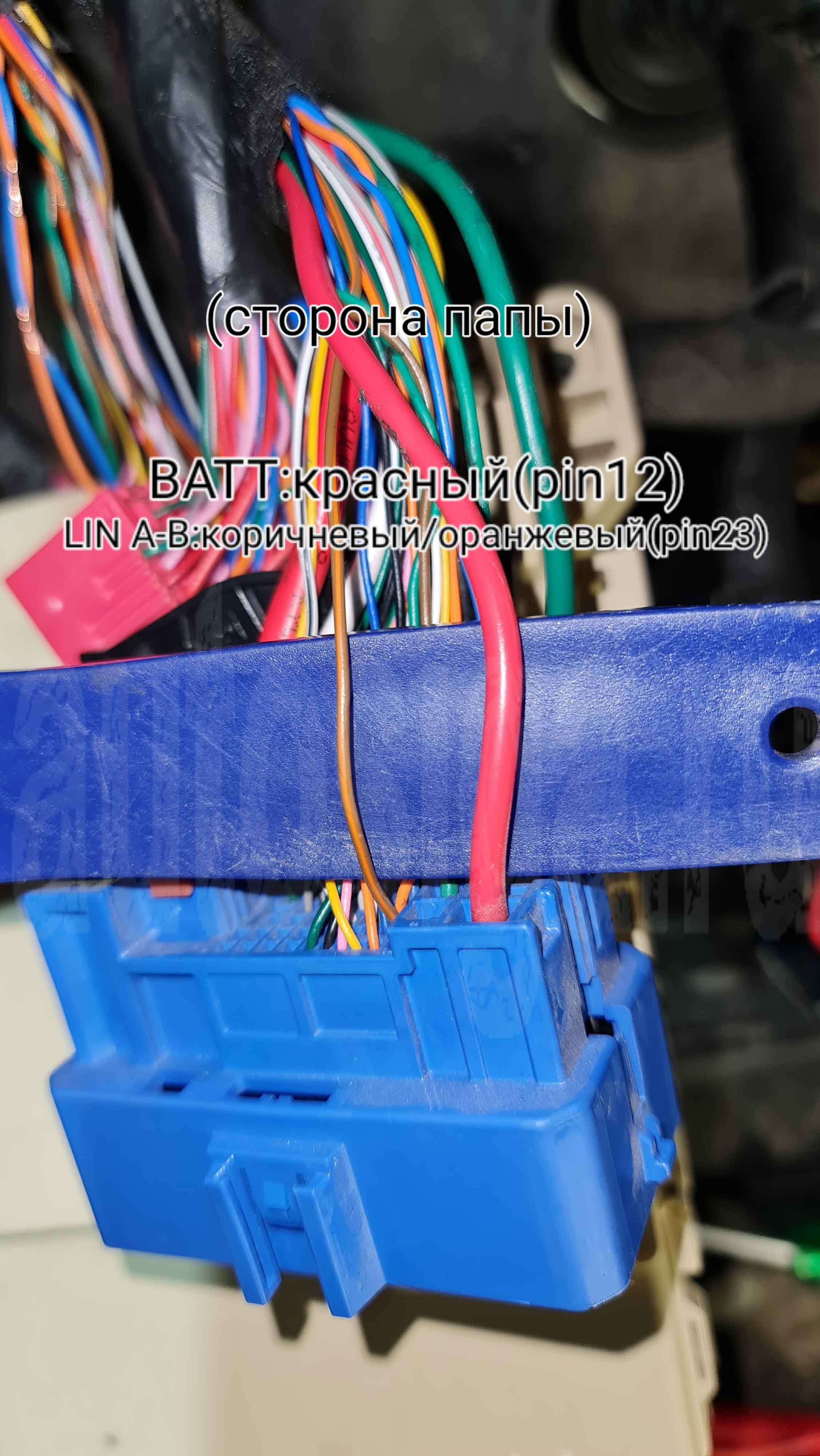 Подключение Lin на Hyundai Elantra 2021