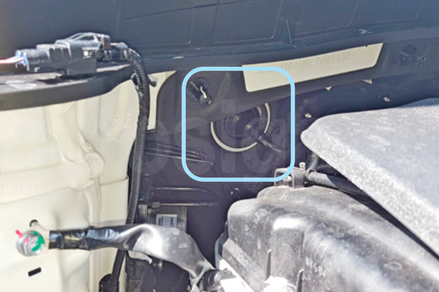 Kia Soul 2019-2023 Штатный уплотнитель справа Киа Соул 2019-2023 Штатный уплотнитель справа