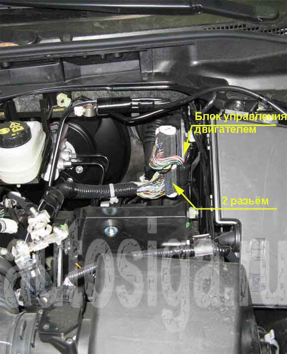 Блок управления двигателем на Mazda CX-7