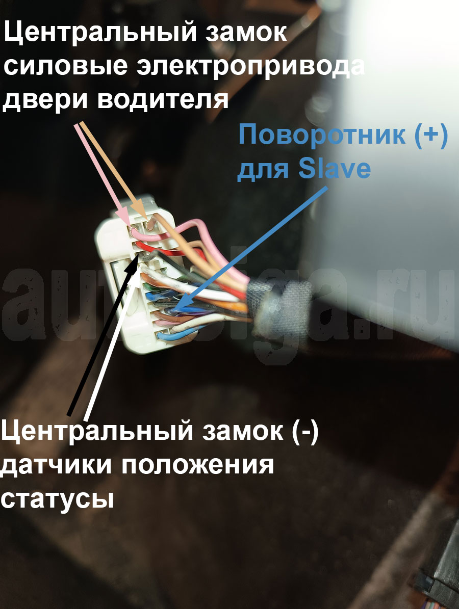 Toyota Raize 2021: центральный замок и Slave в жгуте двери водителя