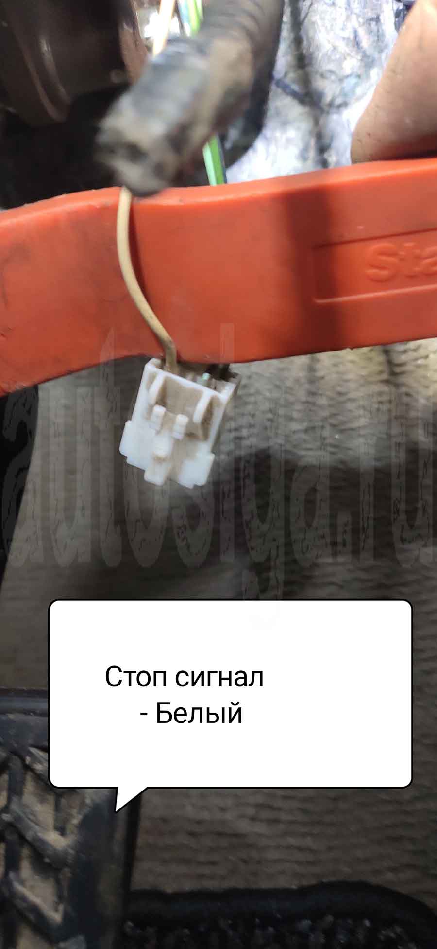 Toyota Mark X 2006: стоп-сигнал Тойота Марк Х 2006: стоп-сигнал